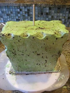 a green cake sitting on top of a white plate