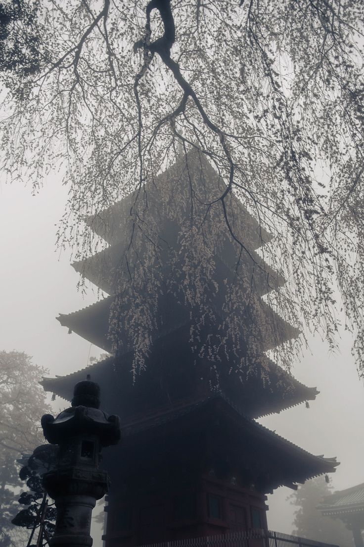 a tall building sitting under a tree in the fog