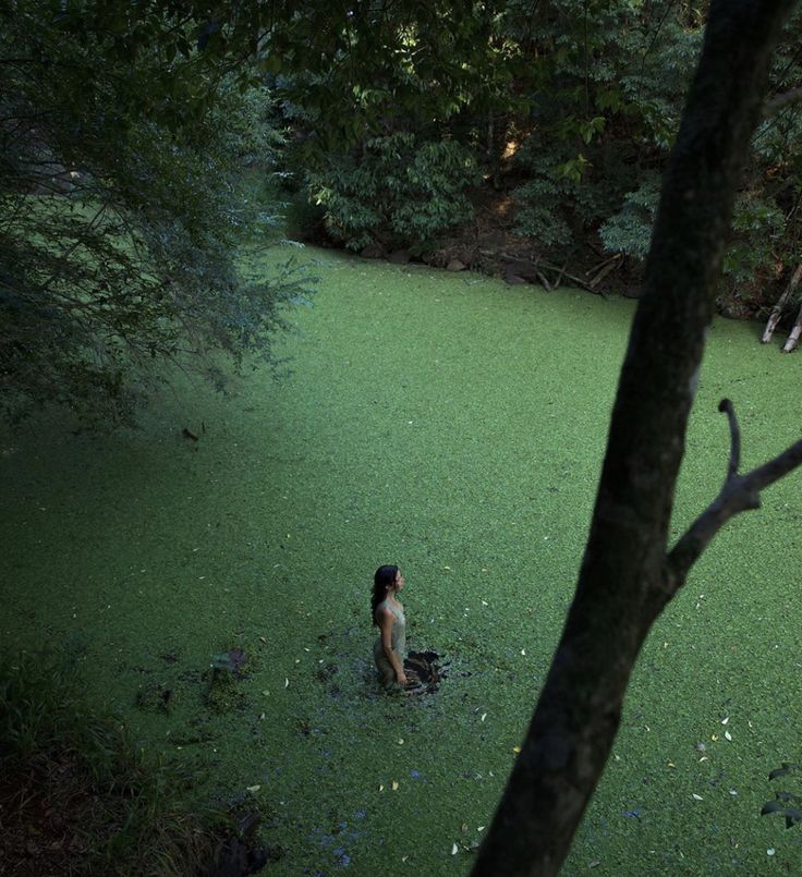 a person sitting in the middle of a swampy area surrounded by trees and grass