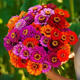 a person holding a bouquet of colorful flowers