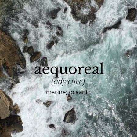 an aerial view of rocks and water with the words aequreall above it