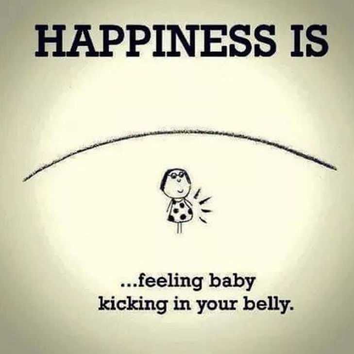 a drawing of a ladybug with the words happiness is feeling baby kicking in your belly