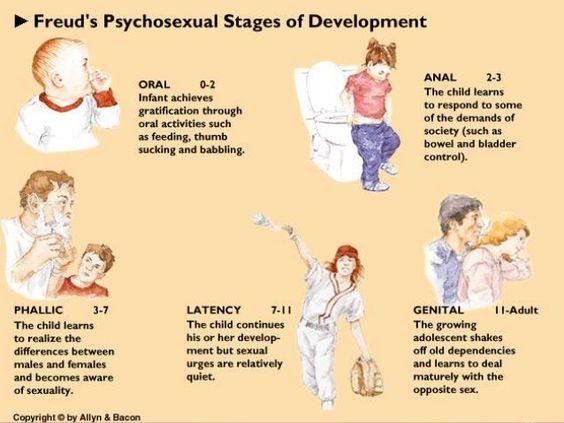 Freud Psychosexual Stages, Psychosexual Stages Of Development, Psychoanalytic Therapy, Psychosexual Stages, Freud Psychoanalytic Theory, Lcsw Exam Prep, Lmsw Exam, Psychoanalytic Theory, Lcsw Exam