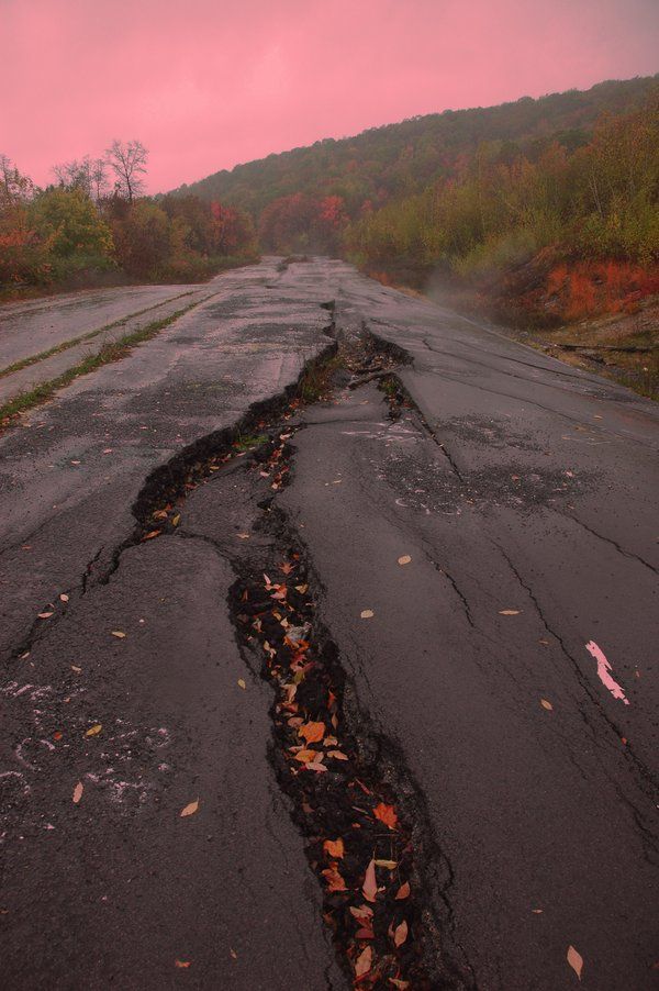 a road that has been blocked off with mud and leaves on the side, in front of some trees