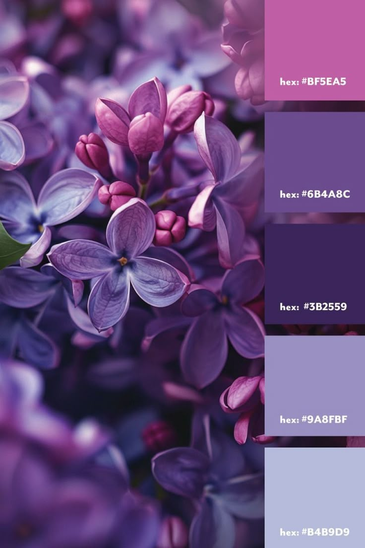 purple flowers are in the center of this color scheme, with different shades to choose from