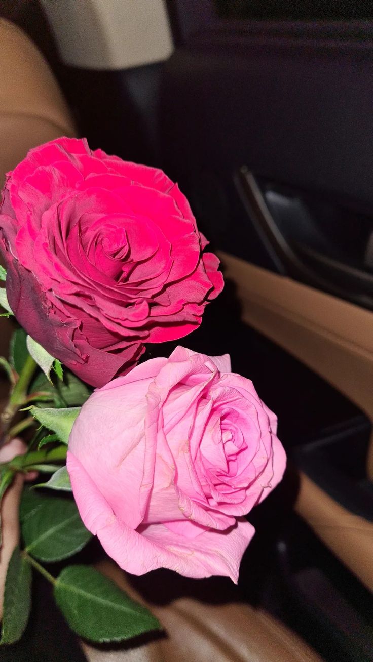 two pink roses sitting on top of a car dashboard