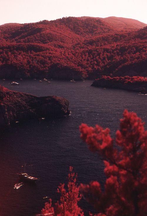 a lake surrounded by red trees and mountains