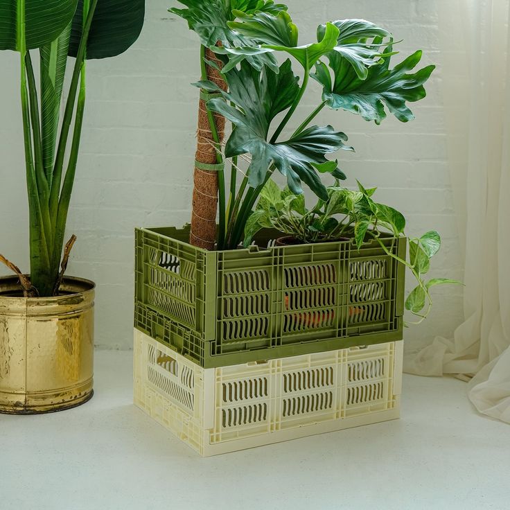 two green planters sitting next to each other on top of a white countertop