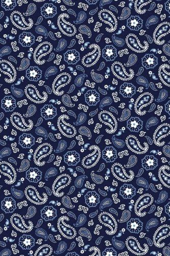 a blue and white paisley print fabric with small flowers in the center, on a dark background