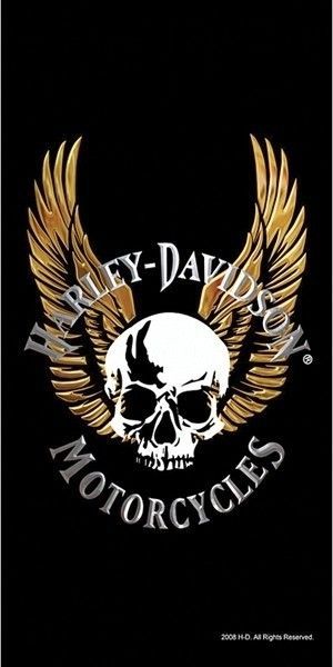 the logo for harley davidson motorcycles on a black background with gold wings and a skull