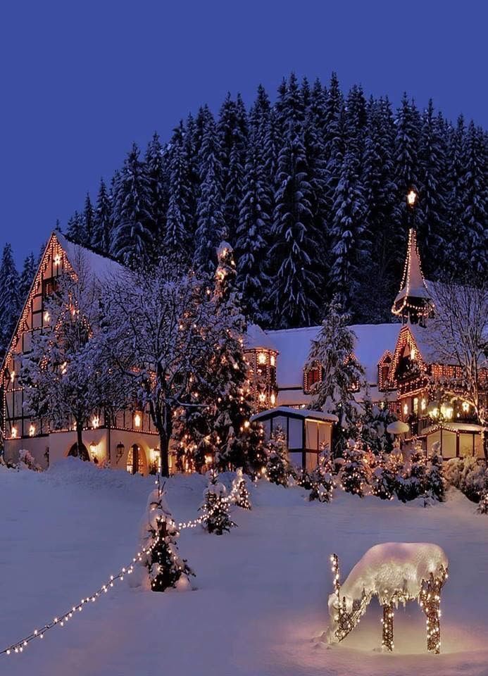 a house covered in christmas lights and decorated with reindeers on the front lawn, surrounded by trees