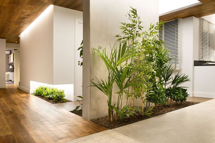 the interior of a modern house with wood flooring and white walls, along with potted plants