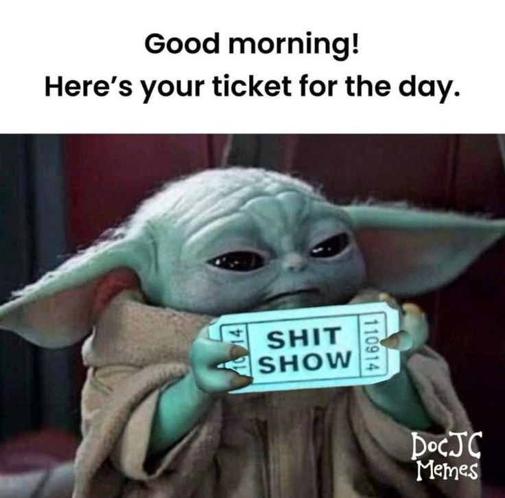 Star Wars Good Morning, Yoda Quotes, Yoda Images, Honeybee Art, Penguin Pictures, Kermit Funny, Yoda Funny, Workplace Humor, Body Camera