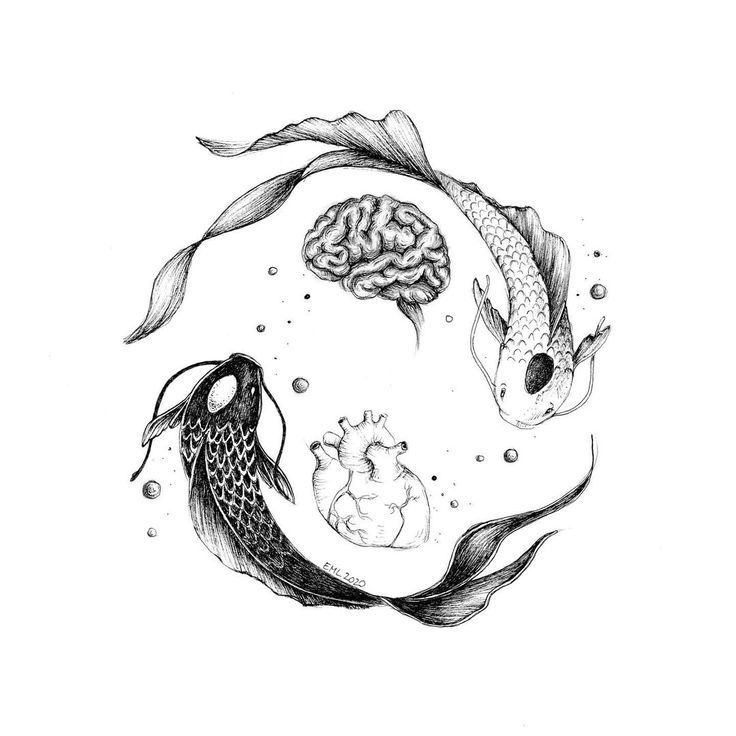 an ink drawing of two fish and a brain