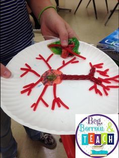 a paper plate that has some red sticks on it and is decorated like a snowflake