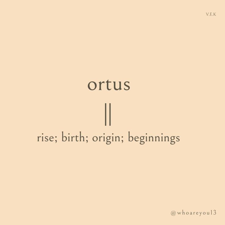 the words ortus are written in black and white on a beige background with an orange border