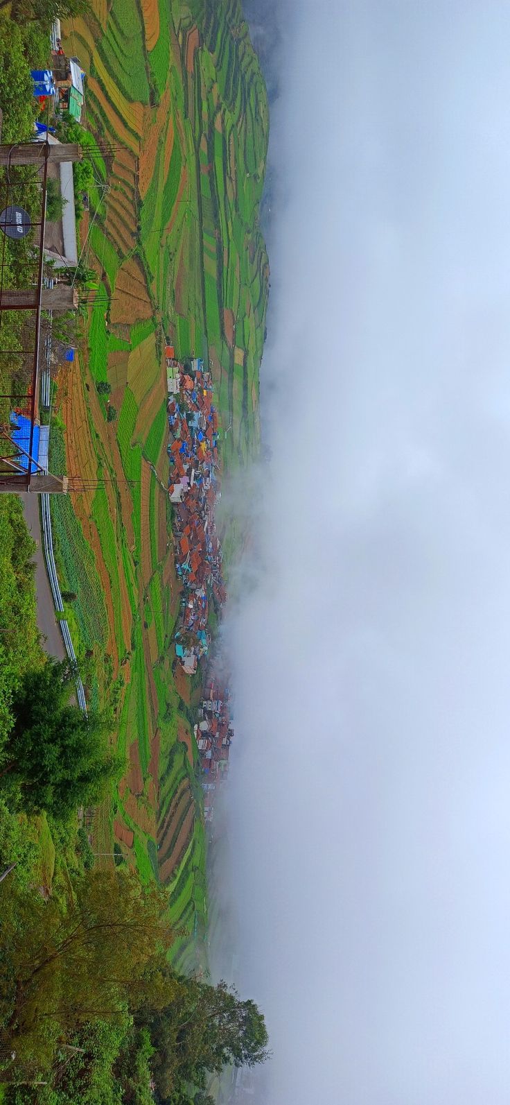 an aerial view of the rice terraces and surrounding trees, with clouds in the foreground