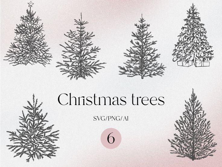 six christmas trees are shown in black and white, with the number 6 below them