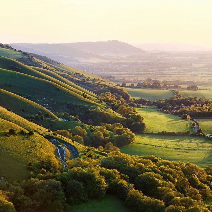 an aerial view of green hills with trees in the foreground and a river running through them