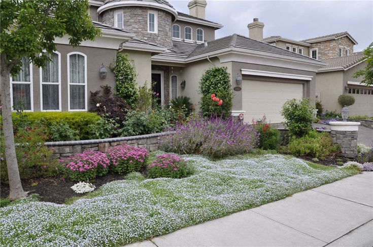 a house with landscaping in front of it and flowers growing on the side of the road