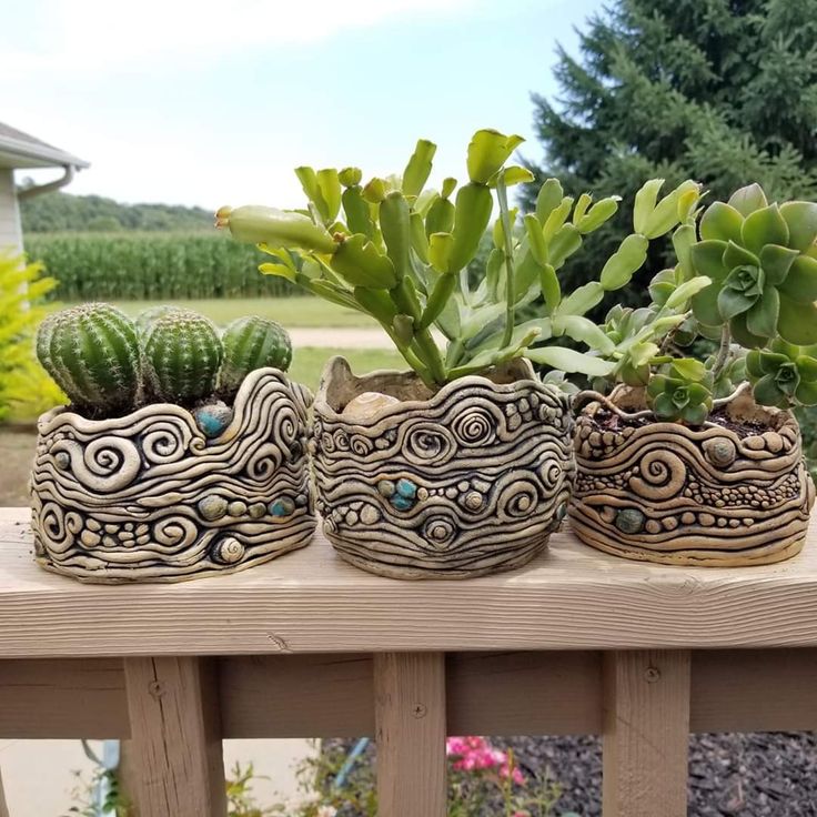 three pots with plants in them sitting on a bench