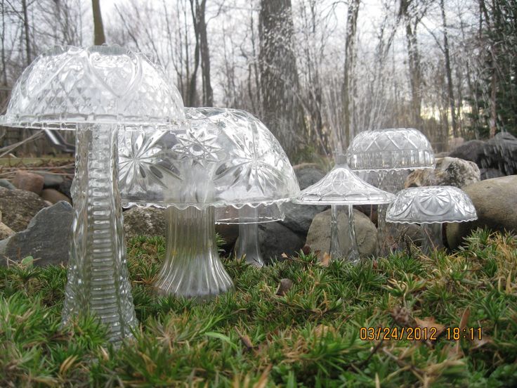 there are many glass mushrooms in the grass