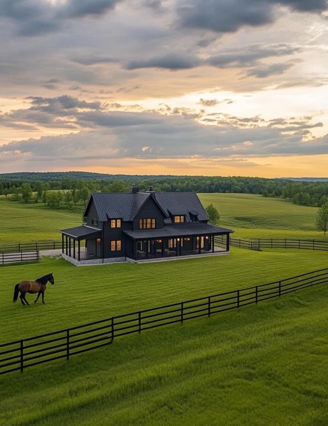 a horse is standing in the middle of a field next to a house with a black roof