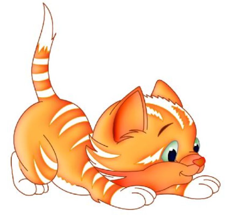 an orange cat laying down on the ground