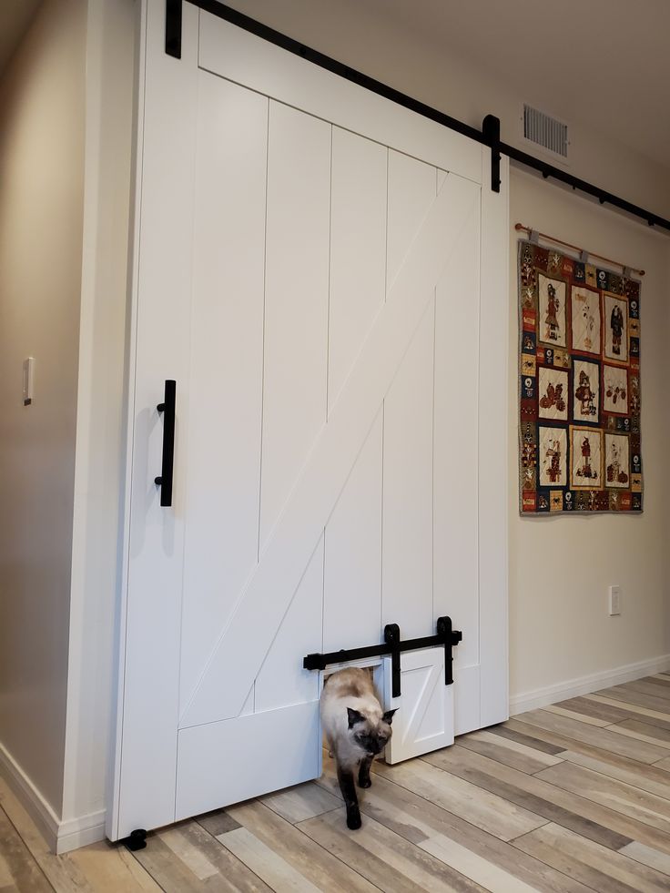 a cat hiding under a sliding door in a room