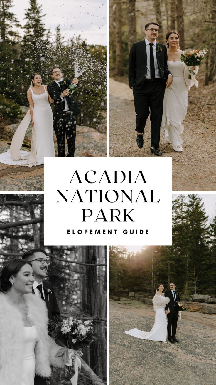 the wedding party is posing for pictures in the woods