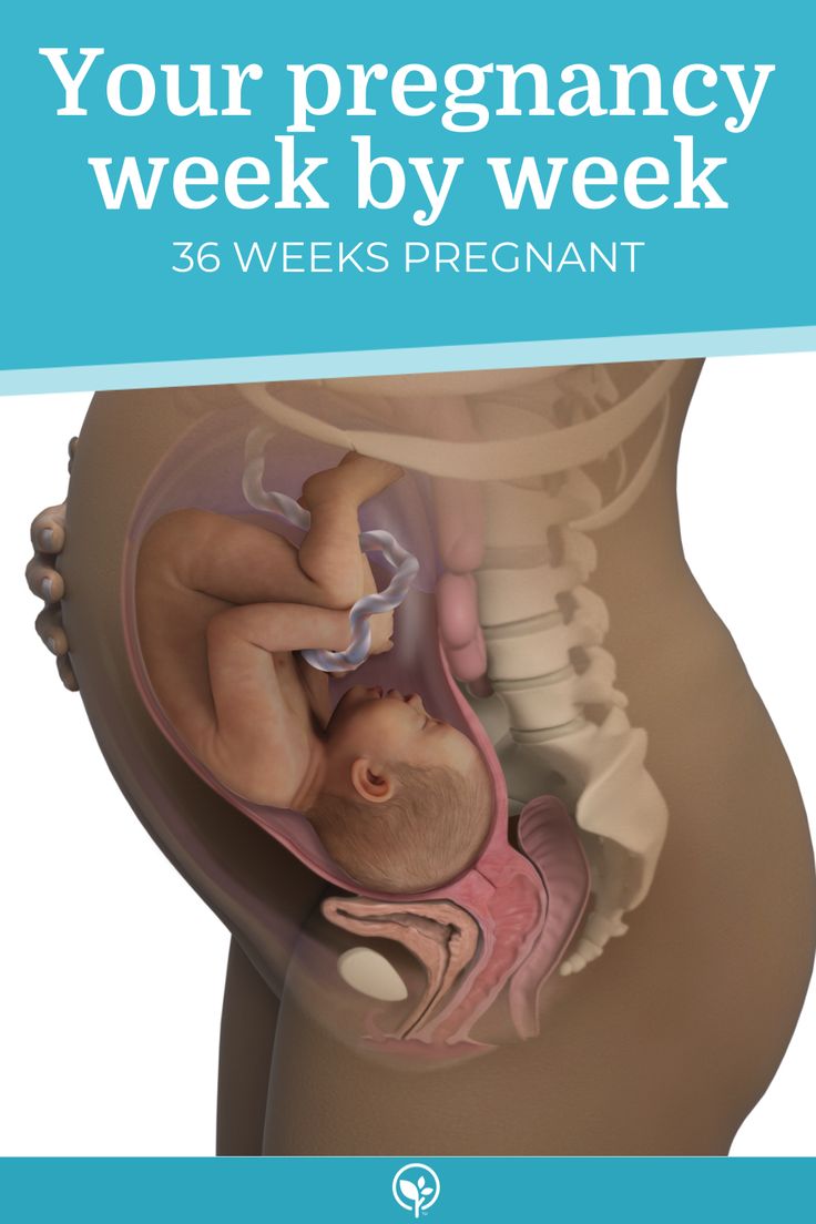 a pregnant belly with the words, your pregancy week by week 31 weeks pregnant