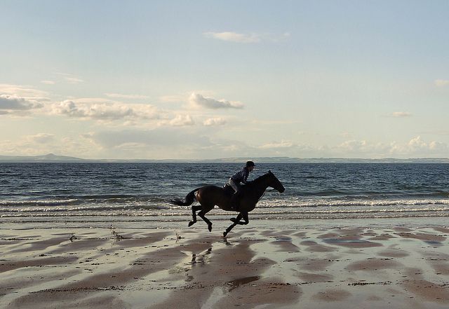 a man is riding a horse on the beach