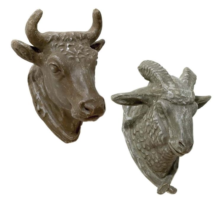 two cow head wall hooks on a white background