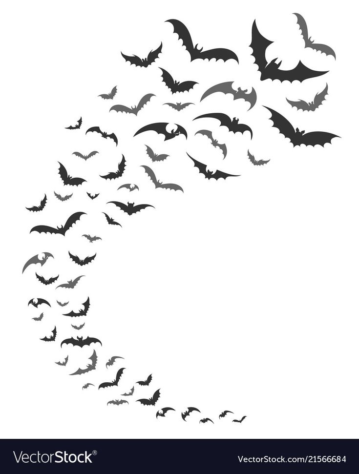 a flock of bats flying through the air