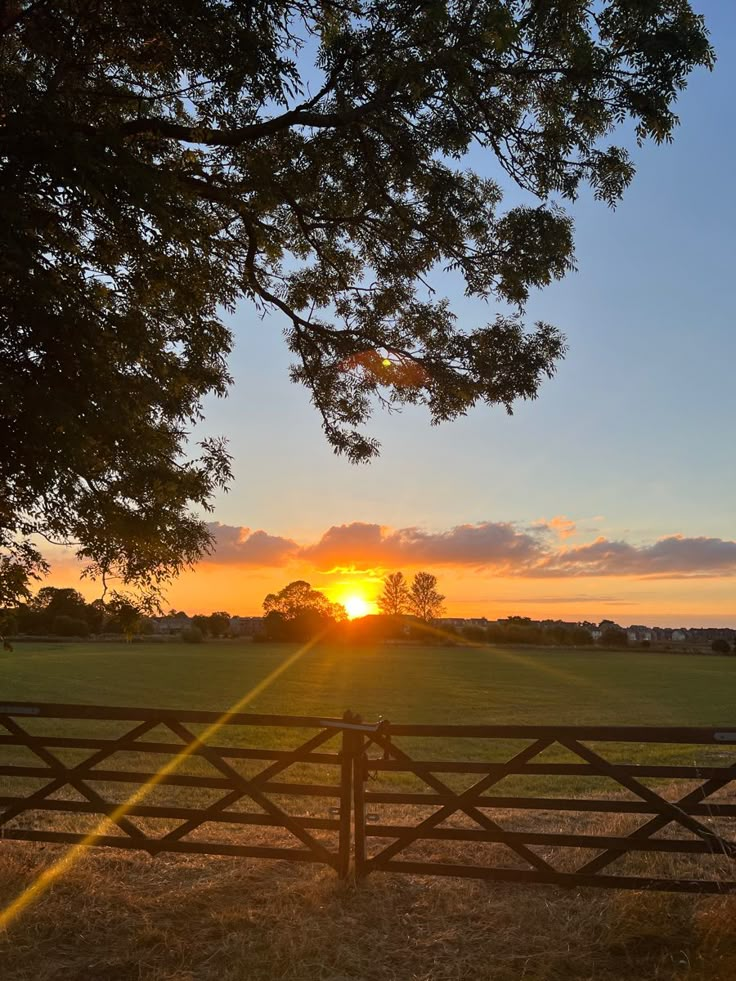 the sun is setting over a field with a wooden fence and trees in front of it