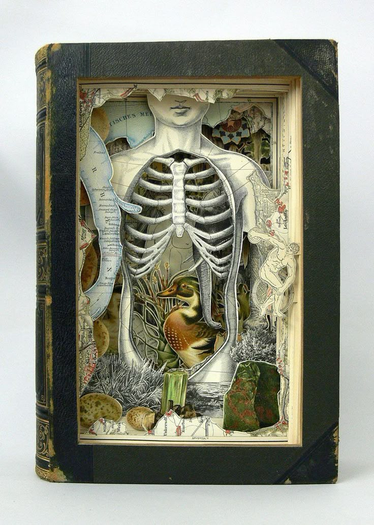 a book with an image of a human skeleton and birds on it's cover