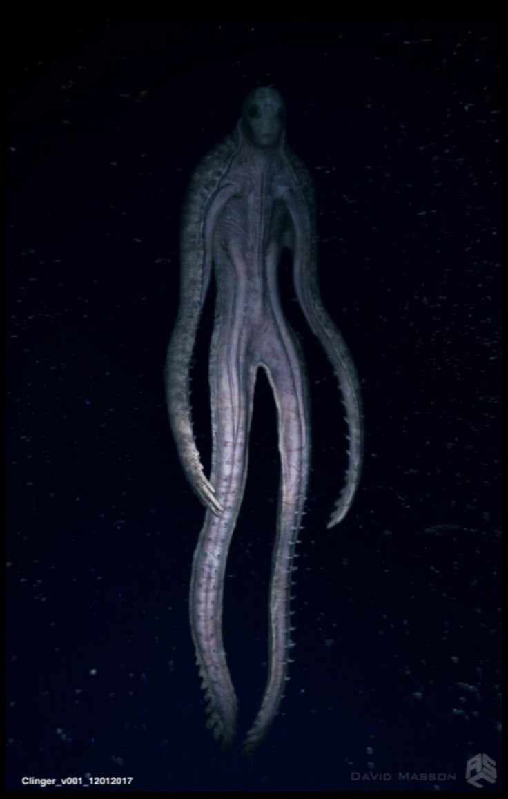 an octopus is floating in the water at night with it's tentacles stretched out