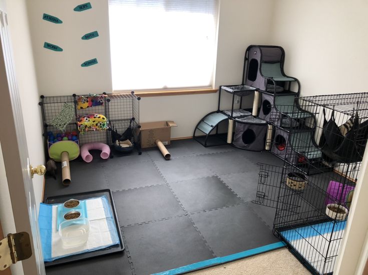 a room with several cages, toys and other items on the floor in front of a window