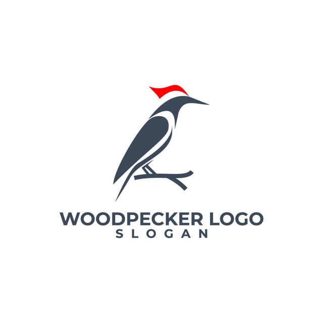 the logo for woodpecker logo is an image of a bird sitting on a branch