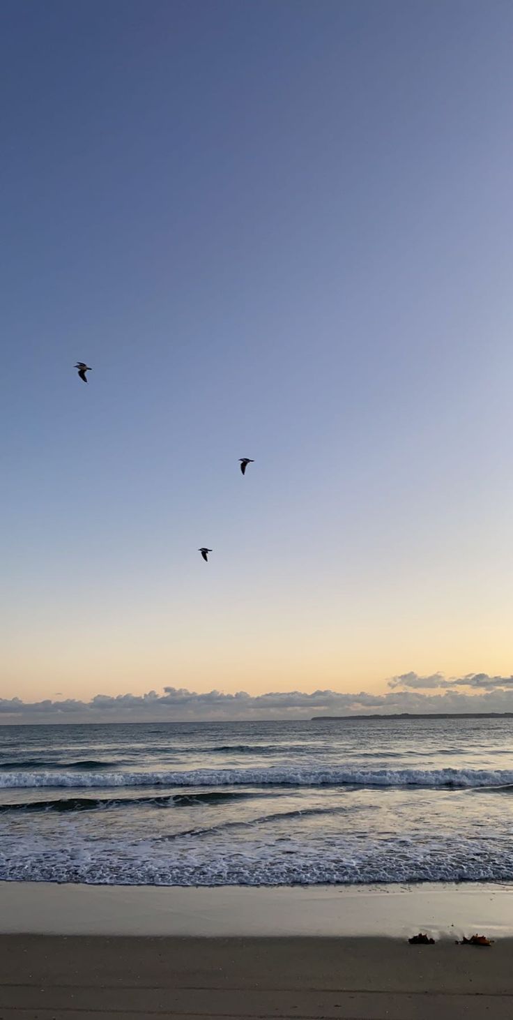 birds flying over the ocean at sunset on a beach with waves coming in to shore