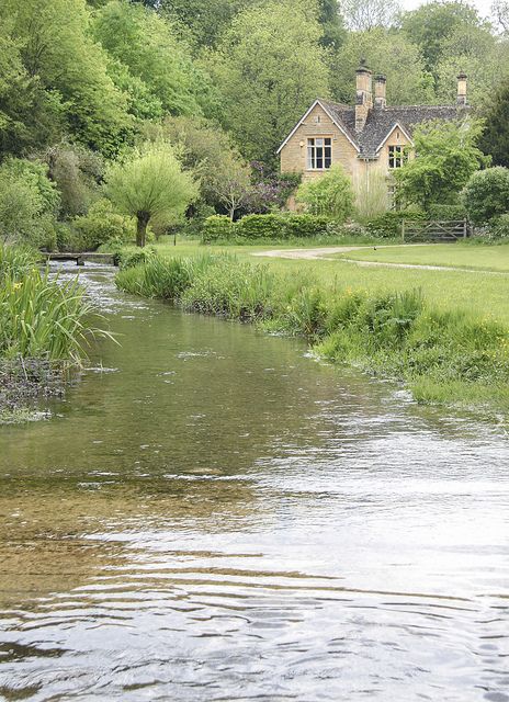 a river running through a lush green forest filled with lots of trees and bushes next to a house