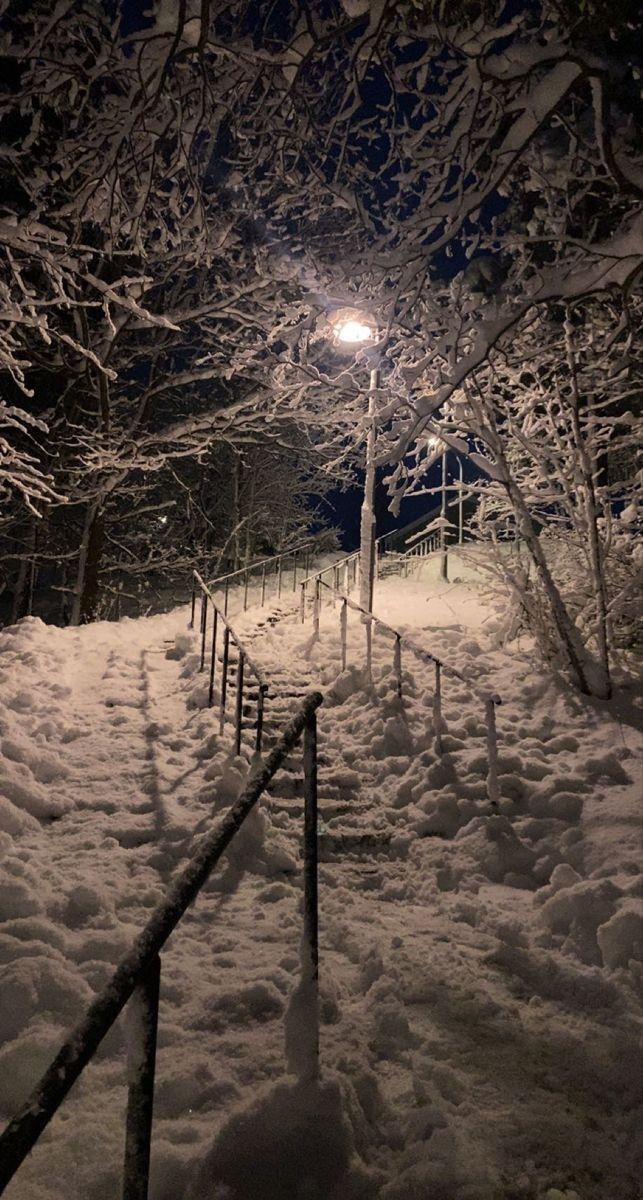 a snow covered path at night with street light in the distance and trees on either side