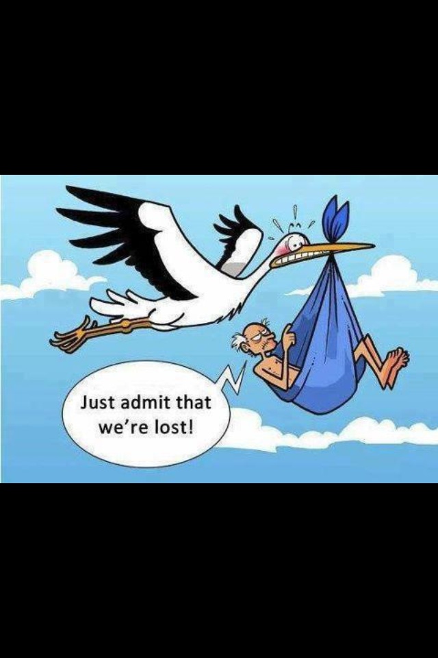 a cartoon stork flying over a man in a blue bag with the caption admit it you are lost