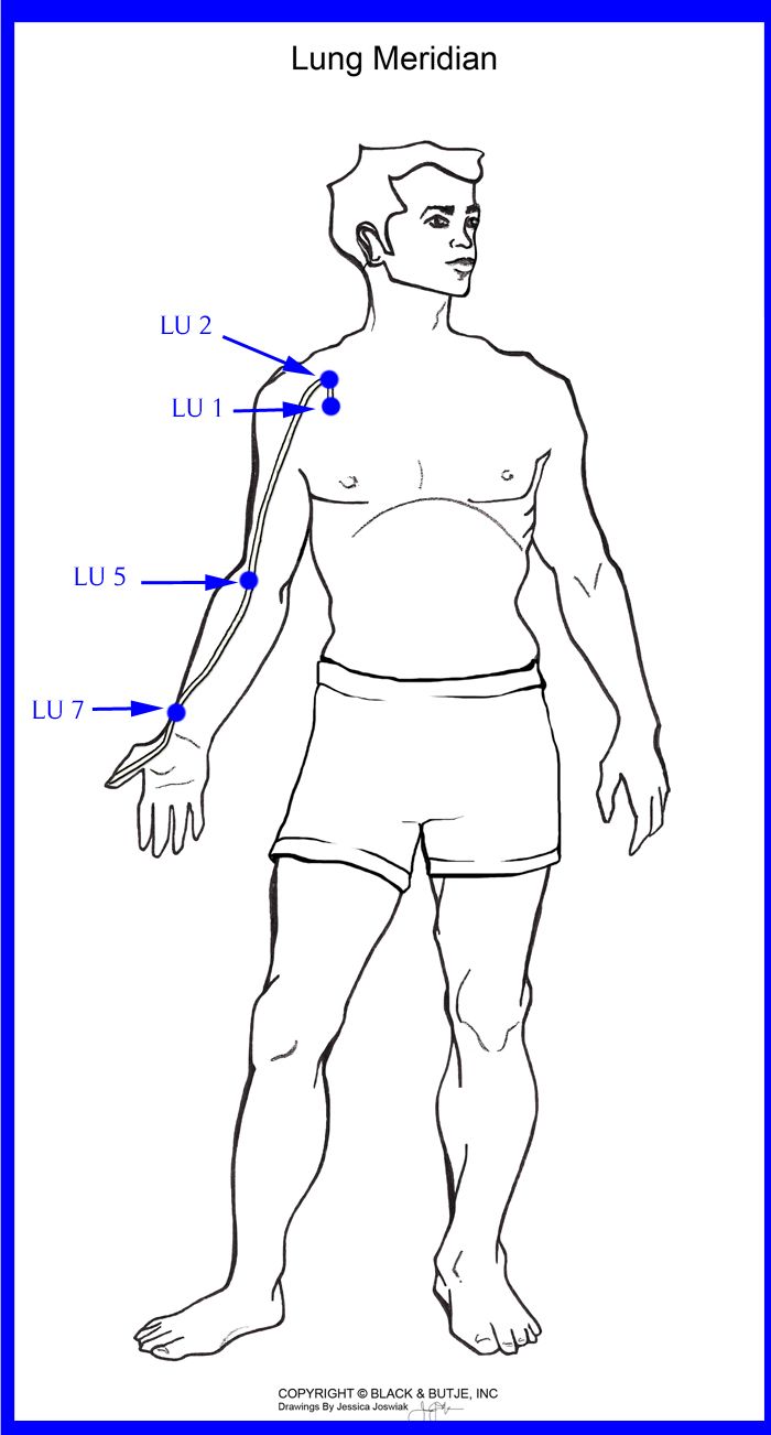 LU1, 2, 5, 7 Lung Meridian, Body Reflexology, Meridian Massage, Basic Anatomy And Physiology, Reflexology Chart, Wellness Massage, Reflexology Massage, Chi Kung, Acupuncture Points