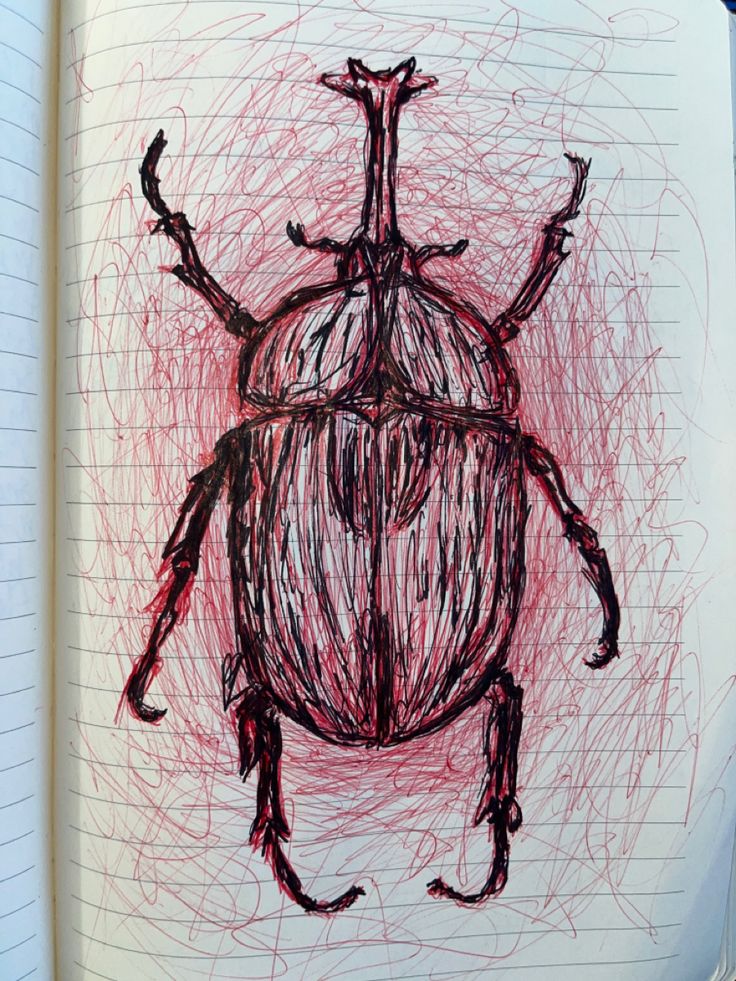 a drawing of a bug in red and black on a notebook with crayons