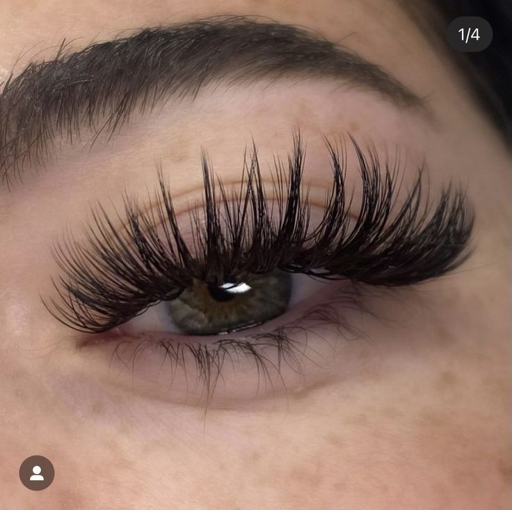 Natural Fake Eyelashes, Eye Makeup Images, Lashes Fake Eyelashes, Lash Extensions Makeup, Lash Extensions Styles, Perfect Eyelashes, Pretty Lashes, Eyelash Extentions, Eye Makeup Pictures