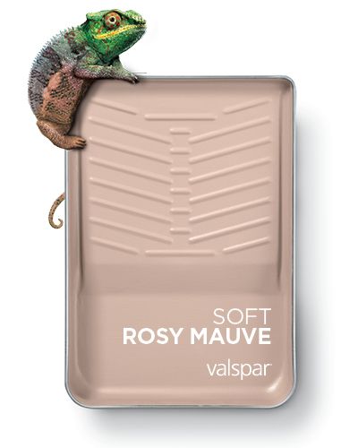 a small chamelon sitting on top of a tray with the words soft rosy mauve vallspar