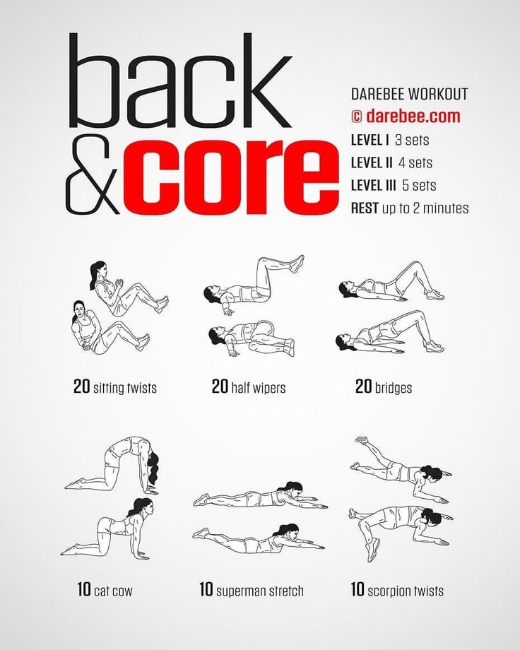 the back and core workout poster