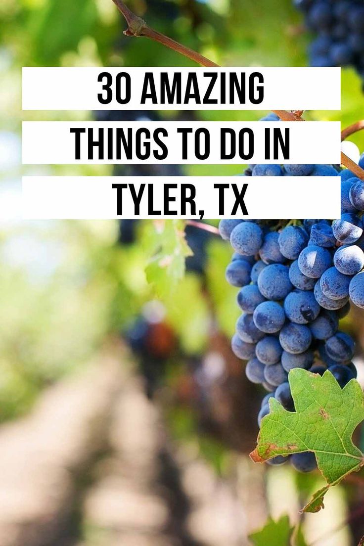 grapes growing on the vine with text overlay reading 30 amazing things to do in tyler, tx