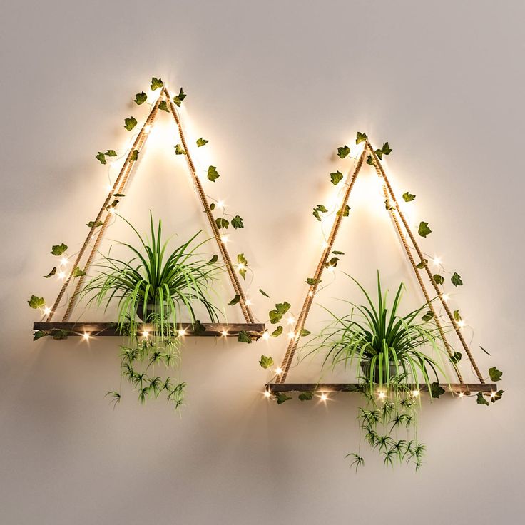 two wooden shelves with plants and lights on them